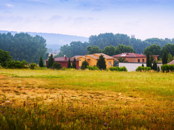 Authentic beef rib pho recipe